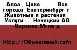 Алоэ › Цена ­ 150 - Все города, Екатеринбург г. Животные и растения » Услуги   . Ненецкий АО,Верхняя Мгла д.